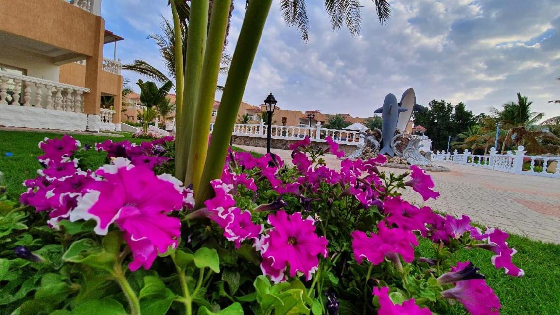 Dolphin Beach Resort Yanbu Eksteriør billede